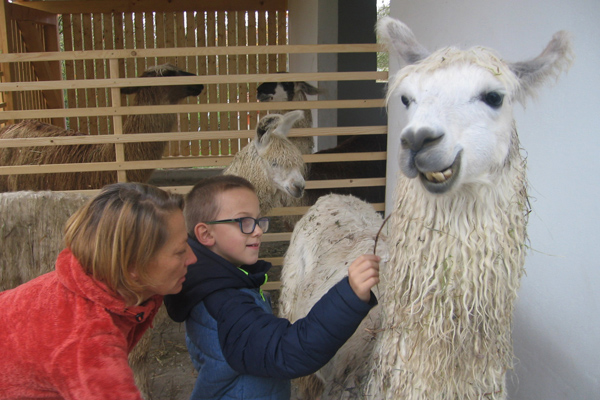 Lama