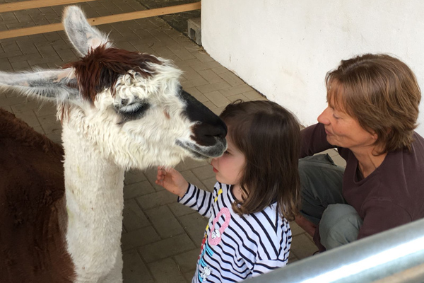 Lama